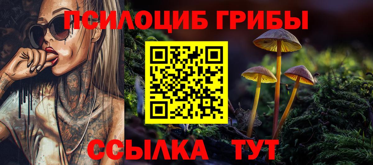 Галлюциногенные грибы мухоморы Омск