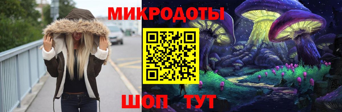 где продают   Омск  Псилоцибиновые грибы Cubensis 