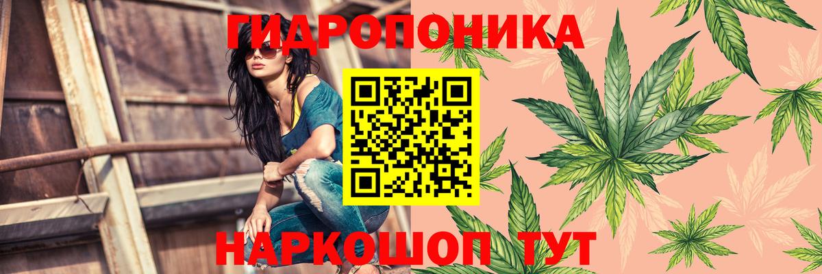 Бошки Шишки тримм Омск